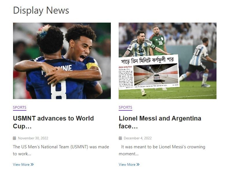 display news grid frontend